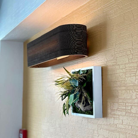 Applique en carton - SAIPH